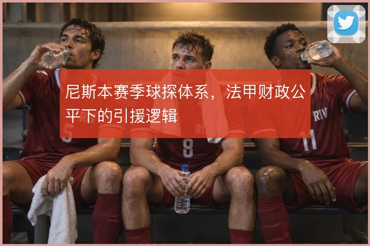 尼斯本赛季球探体系，法甲财政公平下的引援逻辑